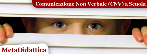 Clicca qui e scopri di più sul corso...