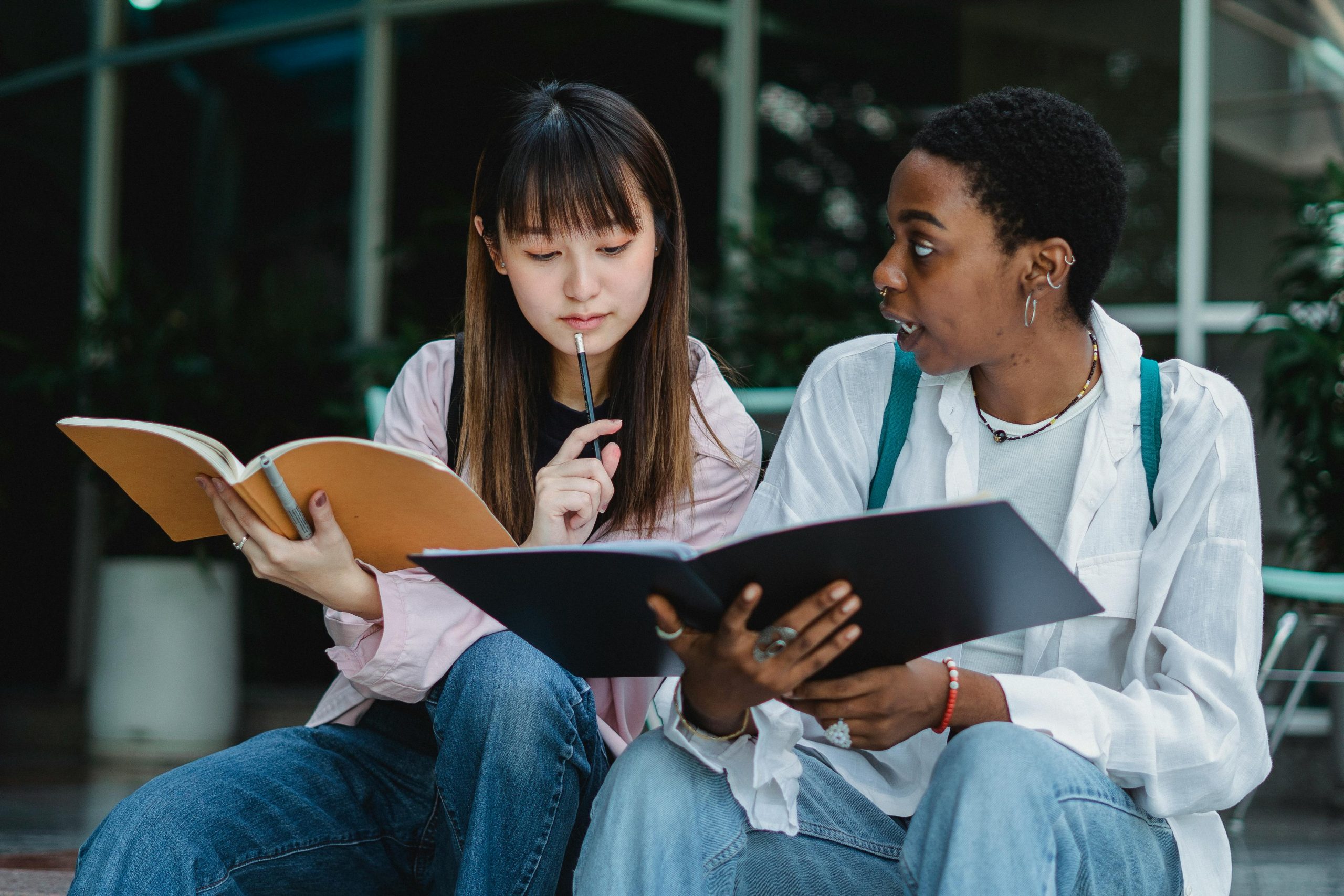 Capire, ma solo quanto basta!